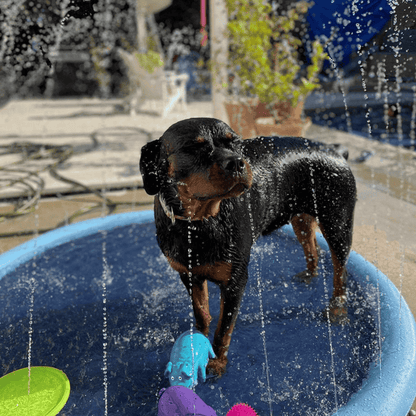 Piscina Chorros Divertidos Niños y Mascotas - DiverPool™